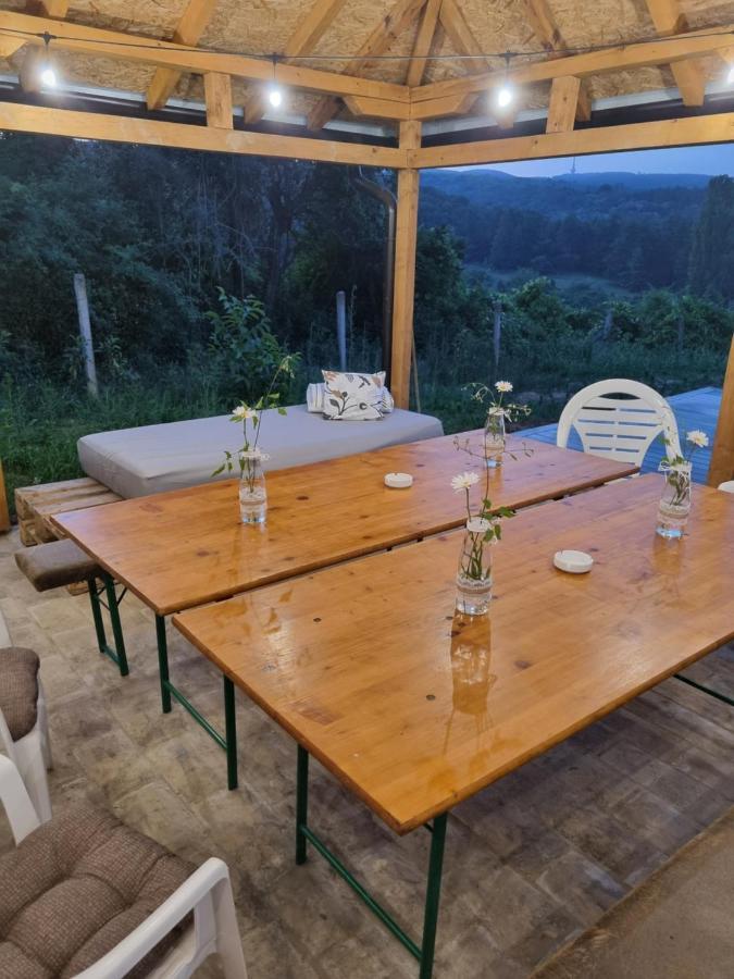 Hoopovo House Fruska Gora Villa Irig Ngoại thất bức ảnh