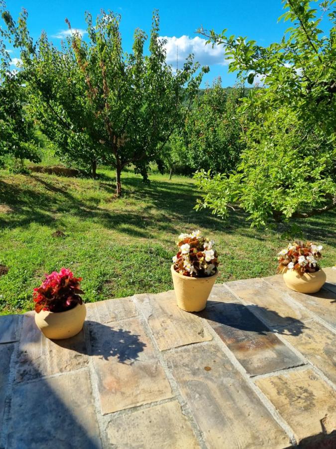 Hoopovo House Fruska Gora Villa Irig Ngoại thất bức ảnh